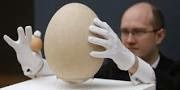 gambar telur terbesar di dunia
