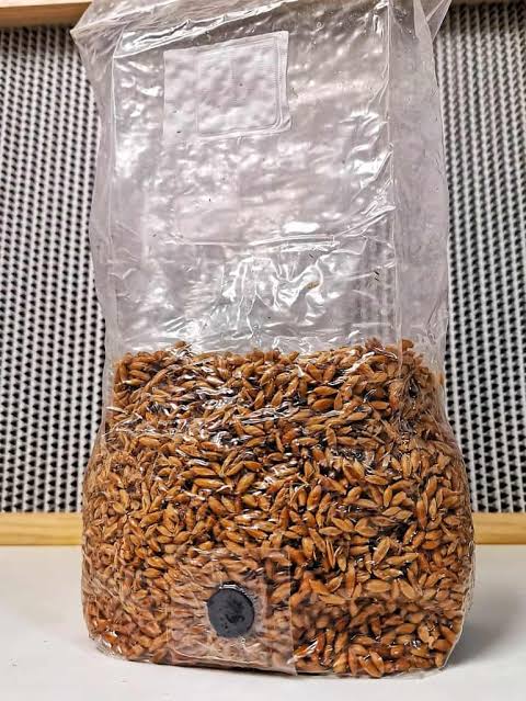 mushroom spawn bag instructions- in which the bags are used for sterilizing grain and propagating mushroom cultures- or, they can be used to create supplemented sawdust fruiting blocks for growing gourmet mushrooms.