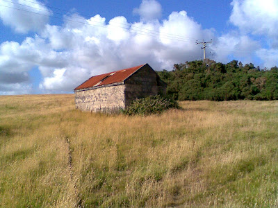 yellow grass