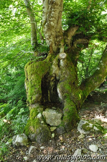 Braña de Mumián