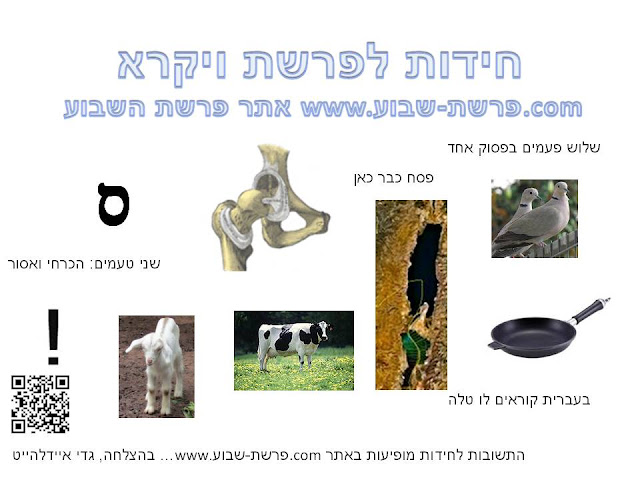 חידות לפרשת ויקרא