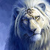 Daily Teachings of the Masters | August 8, 2022