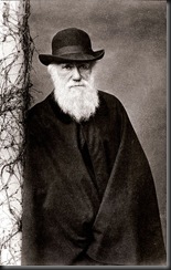 378px-Darwin_1881