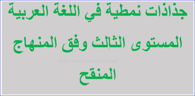 جذاذات نمطية في اللغة العربية المستوى الثالث وفق المنهاج المنقح