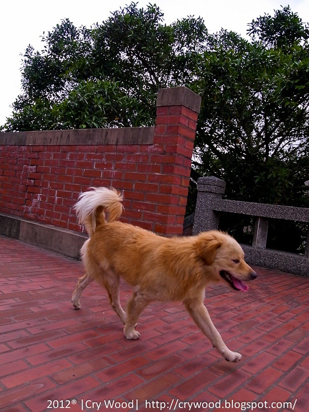 Exif_JPEG_PICTURE