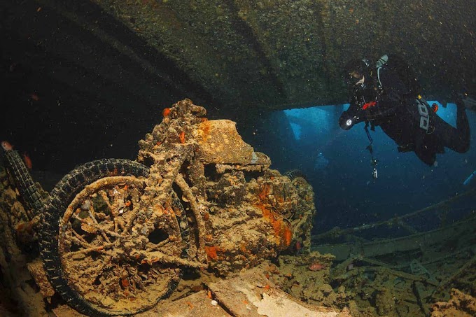 All You Know About To Wreck Diving And Best 5 Sites To See Ship Wreck In India