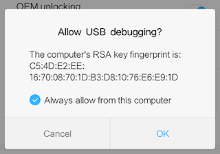 USB Debugging OEM Unlocking