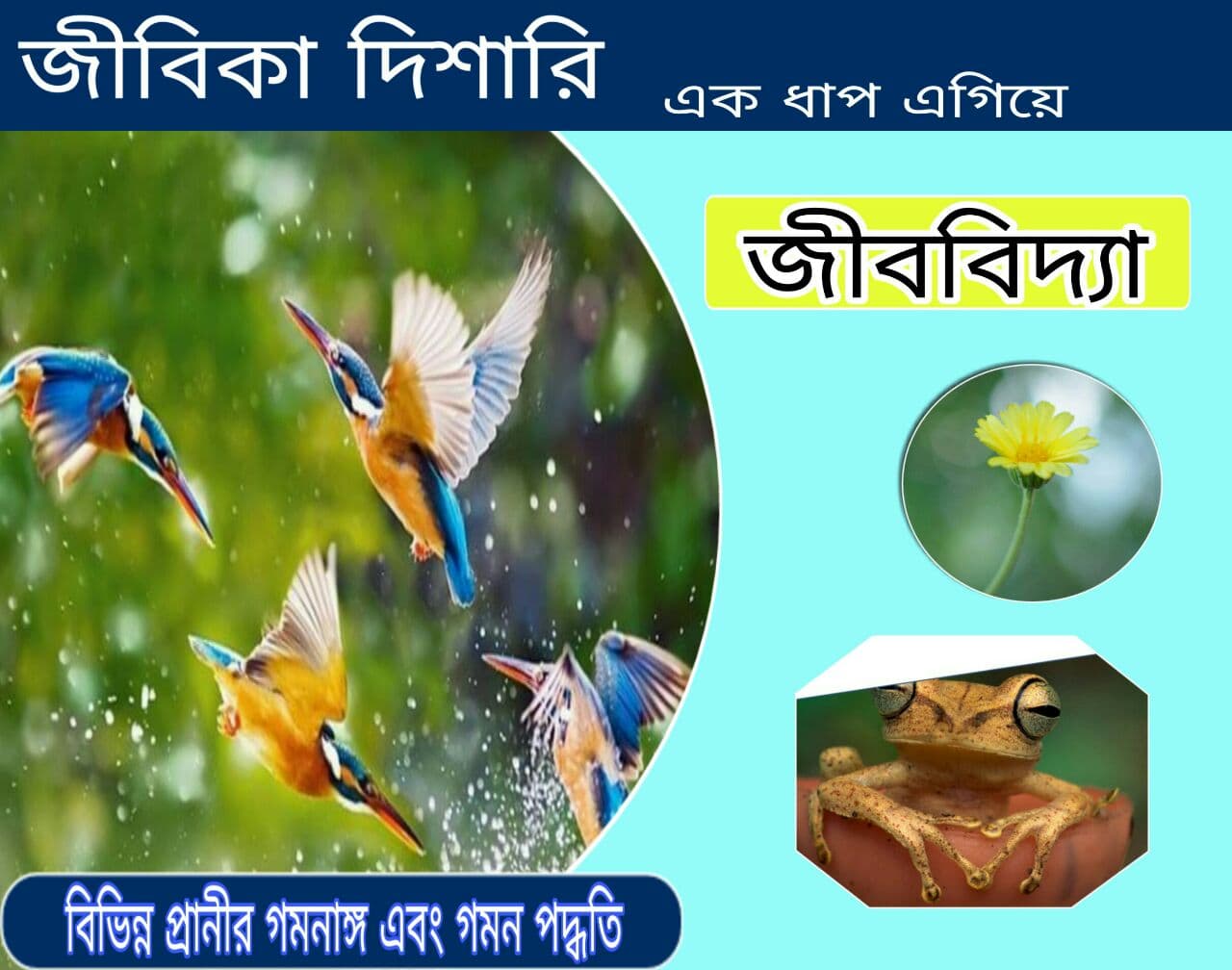 Organs and passages of different animals pdf: বিভিন্ন প্রাণীর গমন অঙ্গ এবং গমন পদ্ধতি pdf