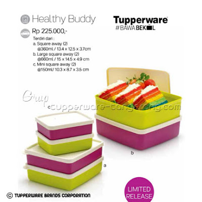 Healthy Buddy ~ Katalog Tupperware Promo Mei 2016