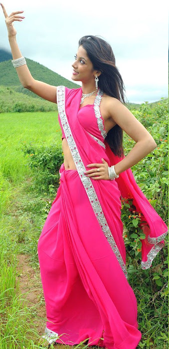 rithika in pink saree latest photos