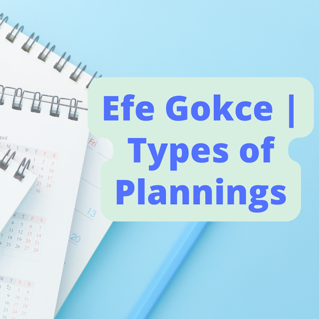 Efe Gokce |  Types of Plannings