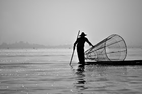 http://www.myanmar-aquafisheries.com/