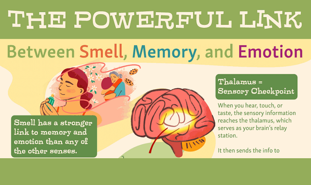 The Powerful Link Between Smell, Memory, and Emotion