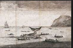baleine autrefois