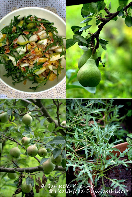 pear rucola walnut salad 