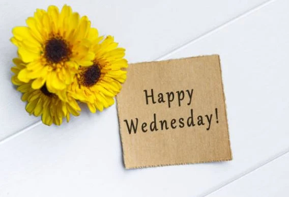 happy-wednesday-images-hd-pictures-photos-status-wallpaper