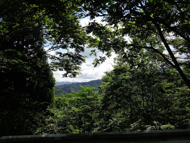 鎌倉山グリーンラインからの風景