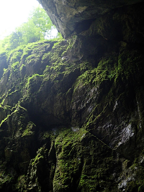 Macocha Abyss, Moravian Karst, Czech Republic