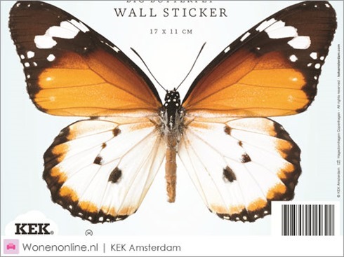 kek-amsterdam-vlinder-butterfly-muurstickers-3