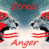  understanding stress and anger 