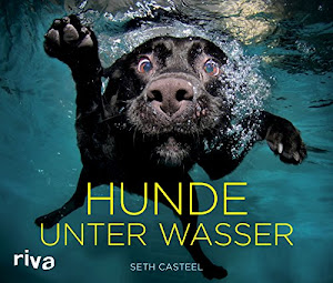 Hunde unter Wasser
