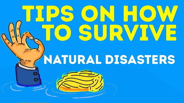 The Best Guide on How to Survive Natural Disasters