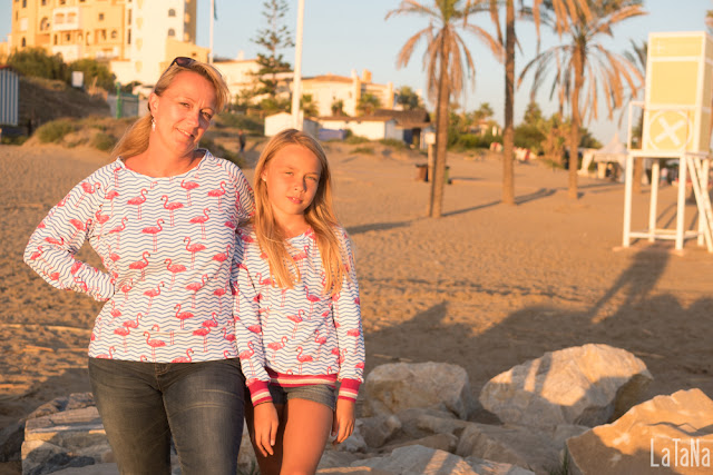 Sweatshirt, Flamingos