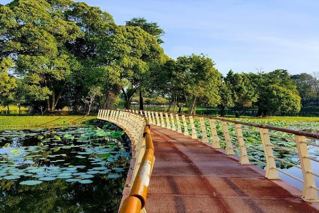 TAMAN TASIK CYBERJAYA CYBERJAYA