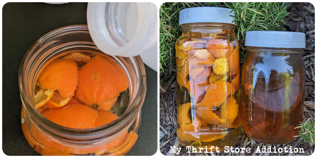 DIY fruit peel garden care