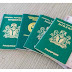 Nigeria Govt To Start Delivering International Passports To People At Home