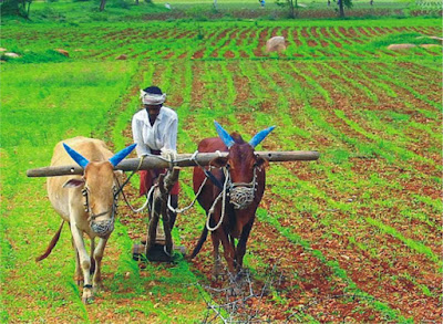 basic agriculture information