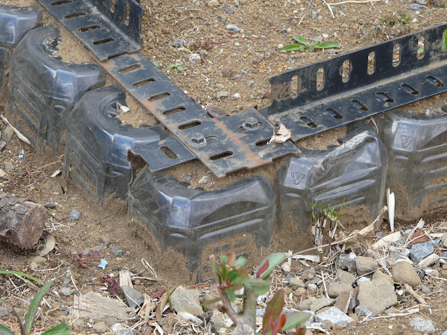 Canteiros feitos com garrafas PET recicladas