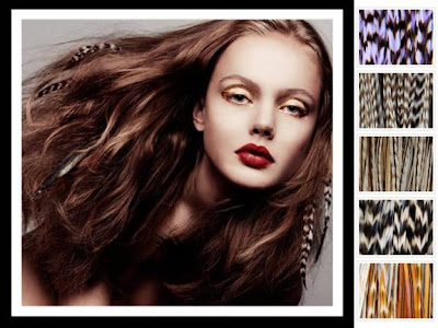 feather hair extensions colors. Feather Hair Extensions.