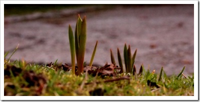 4th March 20