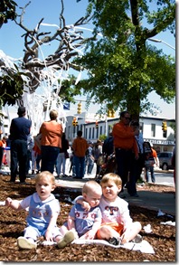 3 boys with tree