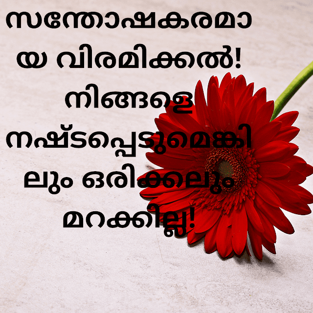 Romantic Love Quotes Malayalam