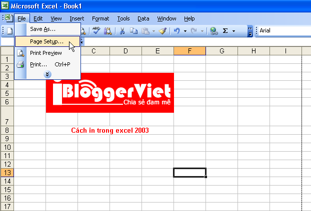 Định dạng trang in trong excel 2003