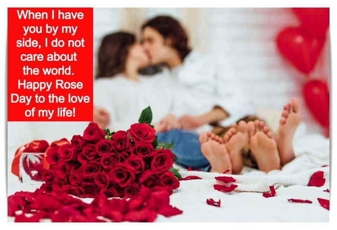 Rose Day Wishes Greetings Messages For Greeting Cards