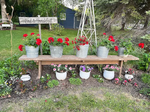 Photo of a newly planted flower border in late May.