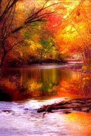 Amazing Oil Paint Nature Mobile Wallpaper