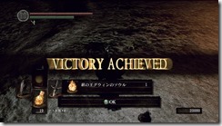 DARKSOULS 2016-08-20 14-59-43-68
