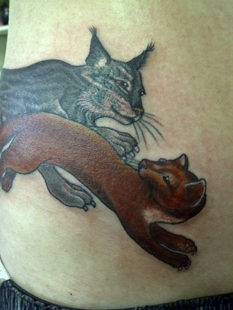 Copy of lynx and pine martin