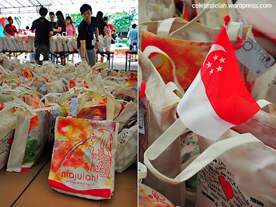 Singapore's National Day celebrations Photos 2011