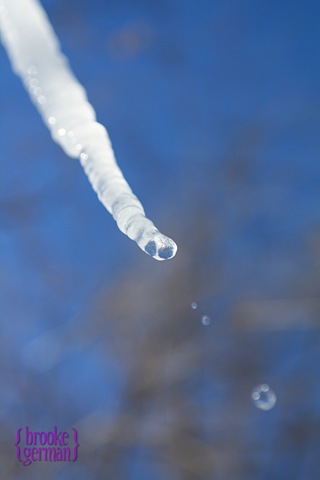 bgIMG_2261