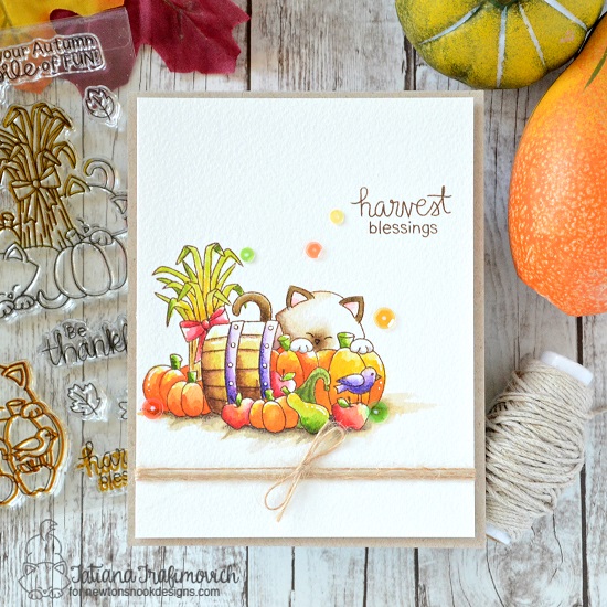 Fall Harvest cat card by Tatiana Trafimovich | Autumn Newton Stamp Set by Newton's Nook Designs #newtonsnook #handmade