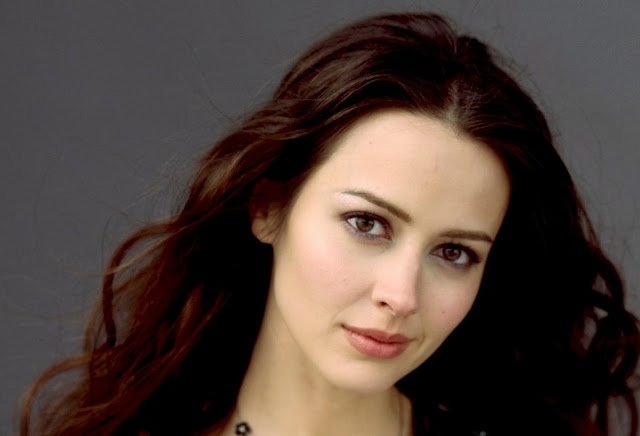 Amy Acker HD Wallpapers Free Download
