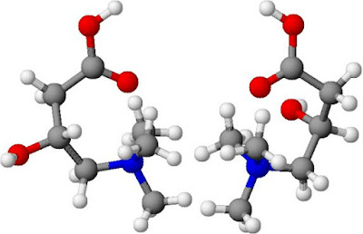 Carnitine Deficiency Symptoms And Diagnosis