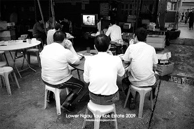 Lower Ngau Tau Kok Estate, Hong Kong, 2009