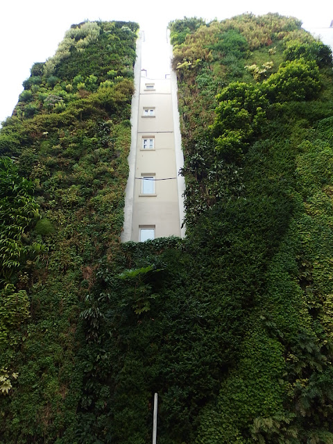 View of the tallest part of the wall on Rue d'Alsace