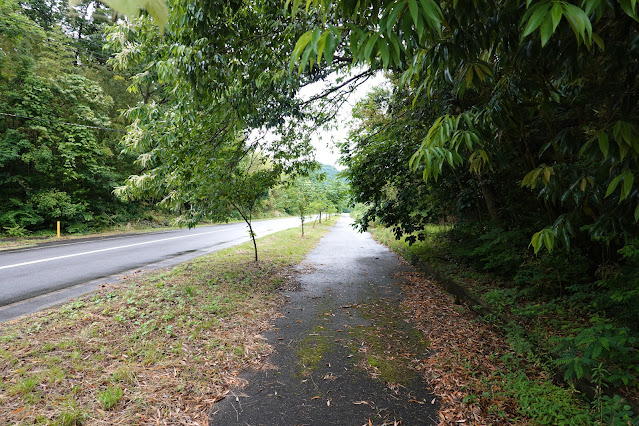 鳥取県西伯郡南部町鶴田